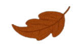 Leaf 1